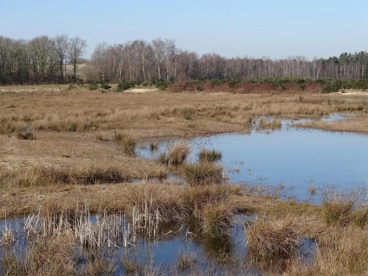 Hotels brabant 14 dagen