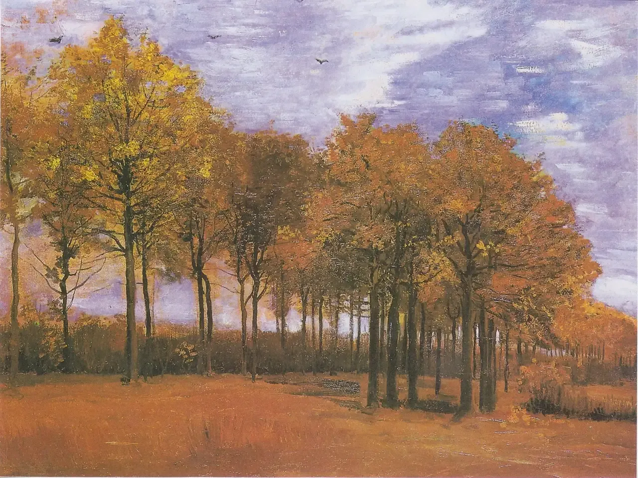 Van gogh brabant hotel